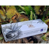 TROZOS DE CASTAÑAS CONFITADAS CON CHOCOLATE NEGRO 150 gr