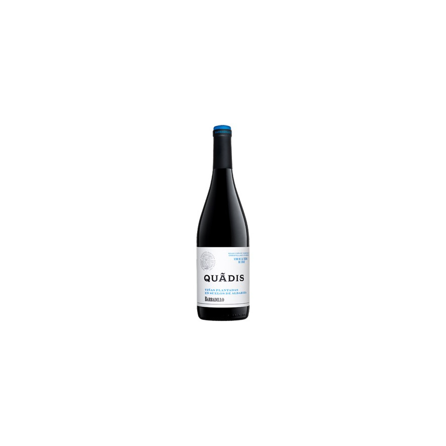 QUADIS TINTO JOVEN BODEGAS BARBADILLO
