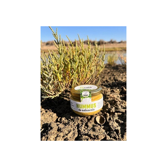 HUMMUS DE SALICORNIA LA SALÁ GOURMET TARRO 120G – SABOR ÚNICO DE CÁDIZ
