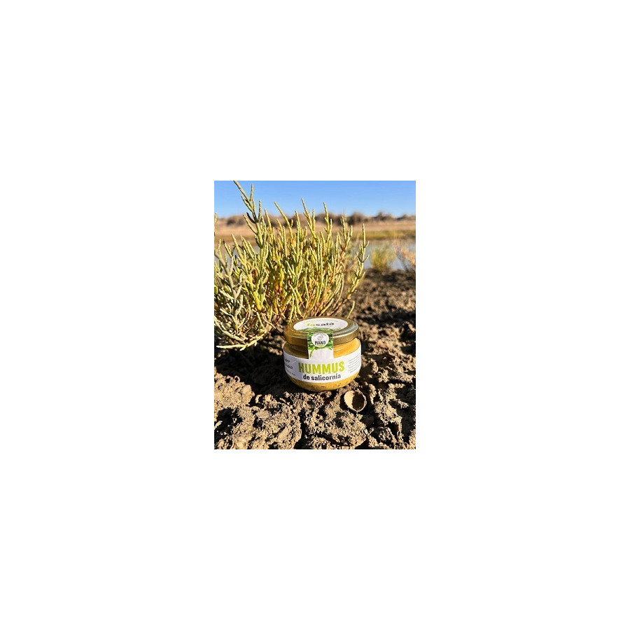 HUMMUS DE SALICORNIA LA SALÁ GOURMET TARRO 120G – SABOR ÚNICO DE CÁDIZ