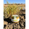 HUMMUS DE SALICORNIA LA SALÁ GOURMET TARRO 120G – SABOR ÚNICO DE CÁDIZ