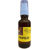 SPRAY DE PROPOLEO 30 ml SIN ALCOHOL. APICOLA PATIÑO CONIL CÁDIZ