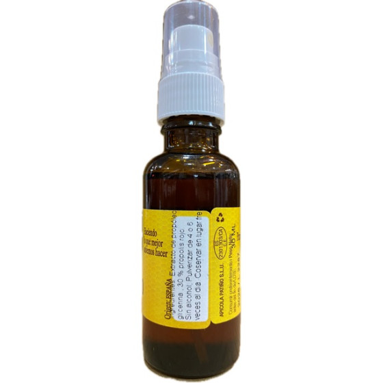 SPRAY DE PROPOLEO 30 ml SIN ALCOHOL. APICOLA PATIÑO CONIL CÁDIZ