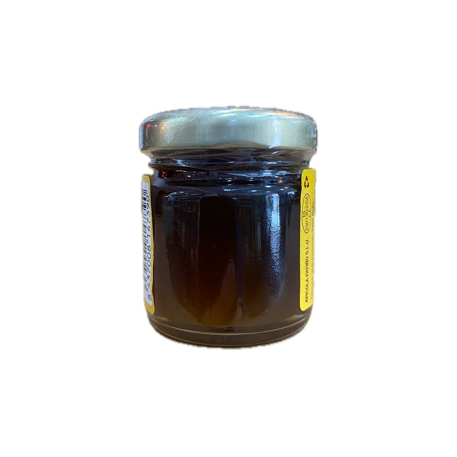 MIEL DE ENCINA APÍCOLA PATIÑO 60 G – TARRO ARTESANAL DE CONIL DE LA FR