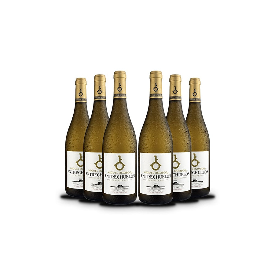 ENTRECHUELOS CHARDONNAY CORTIJO DE TORRECERA
